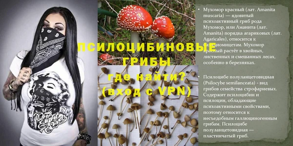 spice Нефтегорск