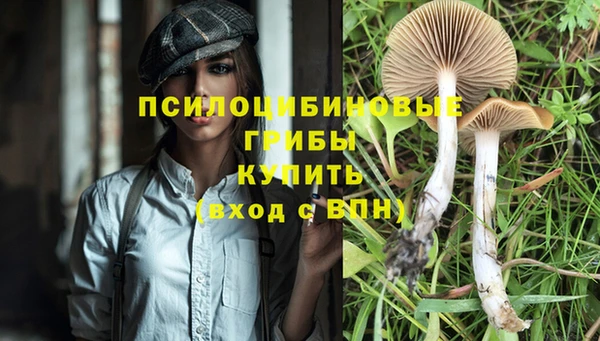 стафф Нефтекумск