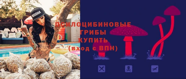 стафф Нефтекумск