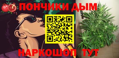 прущие грибы Абинск