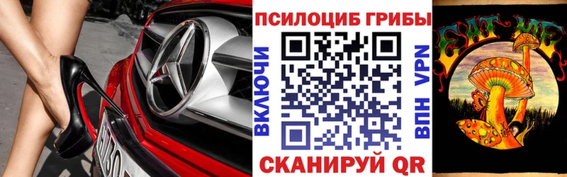 KRAKEN ONION  Лянтор  Псилоцибиновые грибы Psilocybine cubensis 