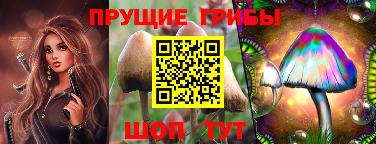 Псилоцибиновые грибы Psilocybe Лянтор